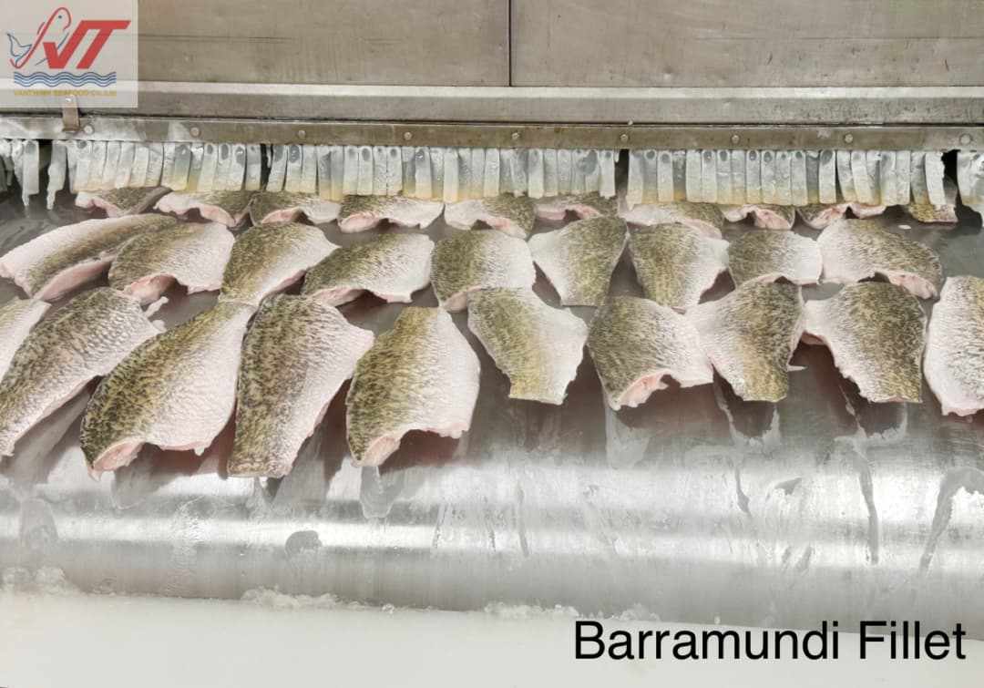 img-fish-center