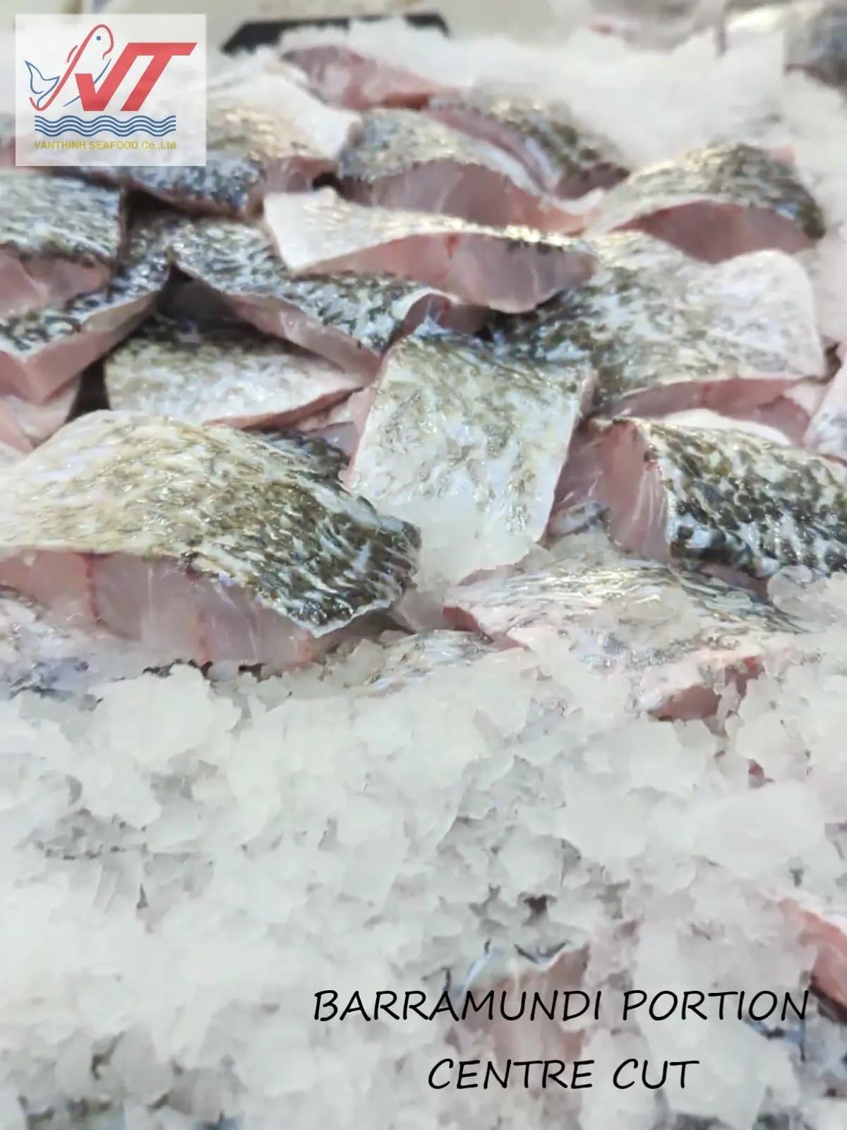Premium Vietnamese Barramundi (Asian Seabass) - Image 3