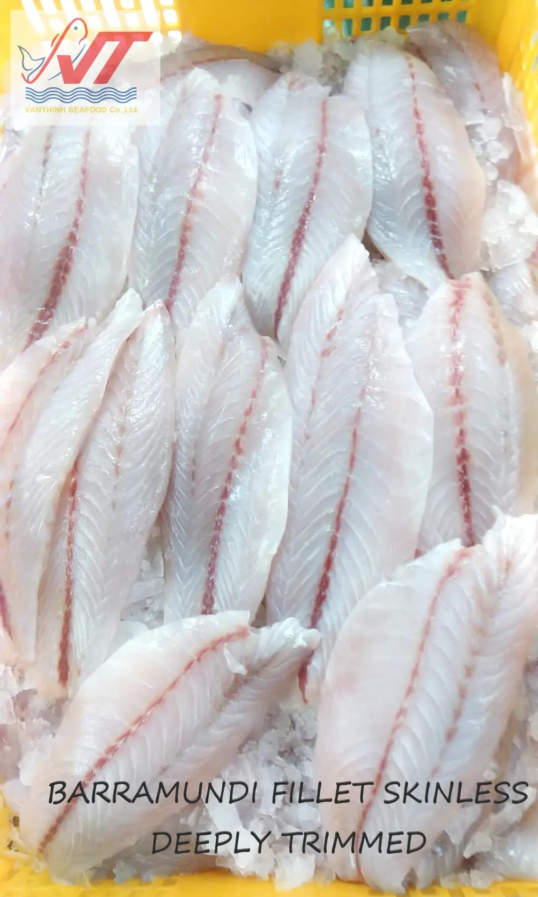 Premium Vietnamese Barramundi (Asian Seabass) - Image 4