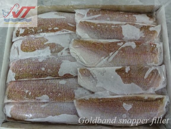 Goldband Snapper - Image 3