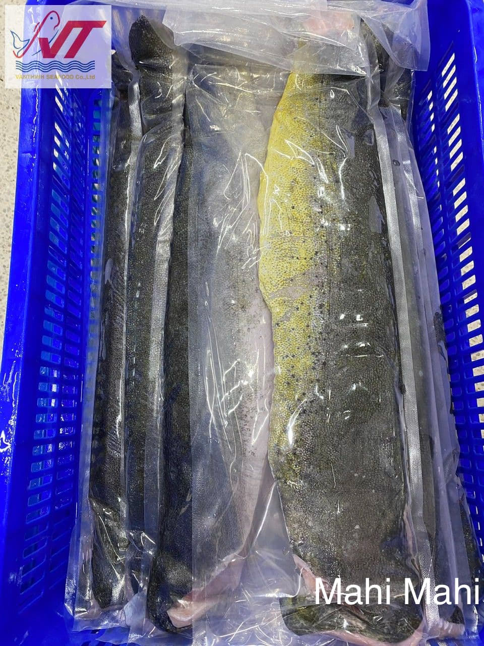 Mahi Mahi - Image 2