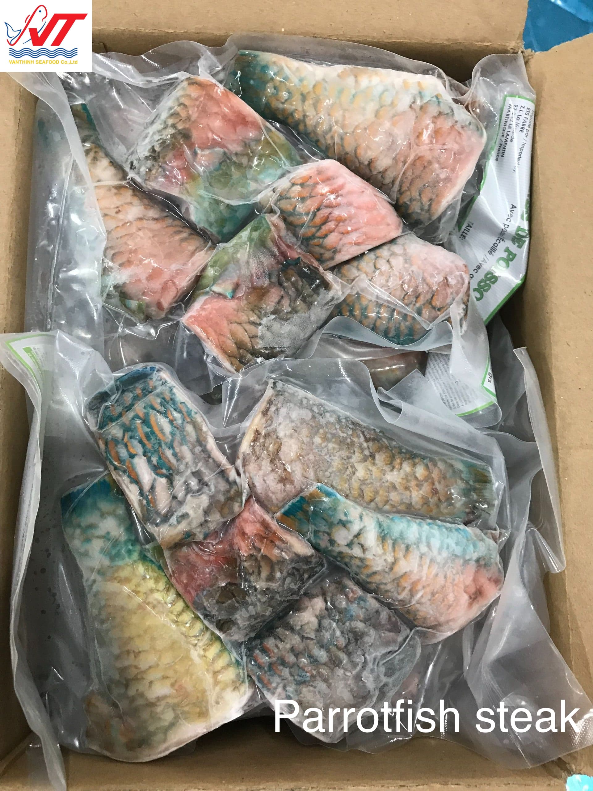 Parrot Fish - Image 4